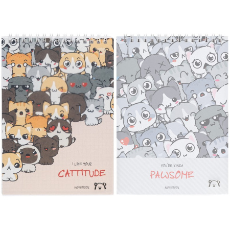 Блокнот А5 60л. MESHU "Сat wave", пластиковая обложка MS_41458