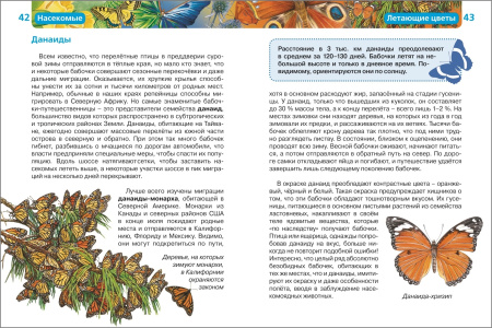 Детская энциклопедия "Насекомые" Росмэн 13450