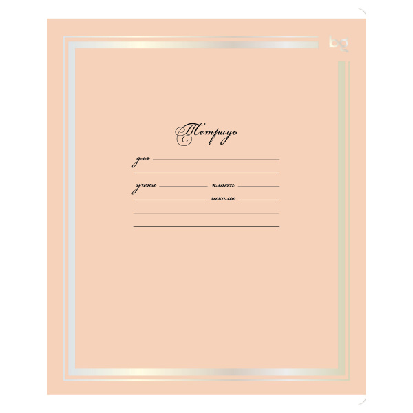 Тетрадь 12л. кл. "В рамке" BG Т5ск12 60274