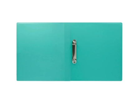 Папка 2 кольца Бюрократ "Pastel", 27мм, 500мкм, зеленый PAST0812/2RGRN