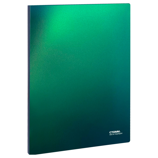 Папка с боковым прижимом СТАММ "Хамелеон" 17мм, 700мкм, зеленый (ММ-31867)