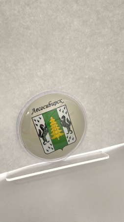 Магнит сувенирный, круглый. "Лесосибирск" (76 мм)