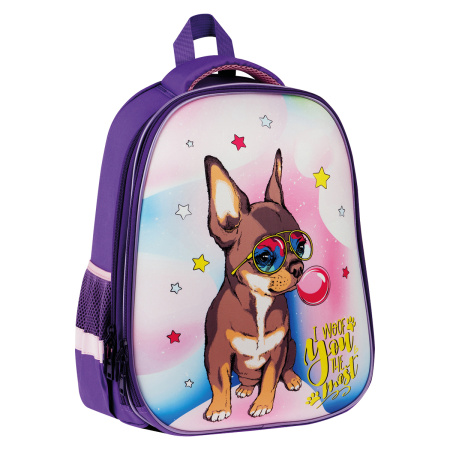 Ранец ArtSpace School Friend "Woof" 39*30*18см, 2 отделения, 2 кармана, анатомическая спинка Uni_177