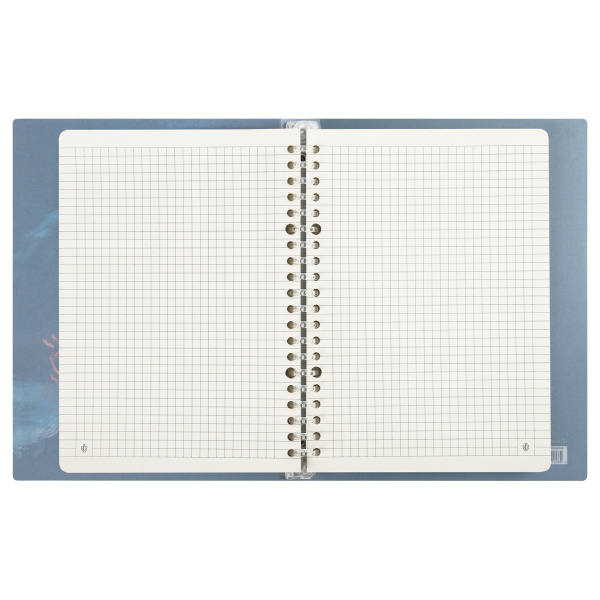 Тетрадь на кольцах 80л. "Encounter" пласт. обложка Greenwich Line (Nrp80A5_38627)