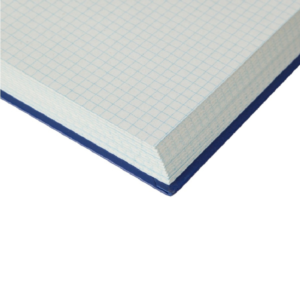 Книга учета Выбор есть 192л. клетка, бумвинил (1941795)