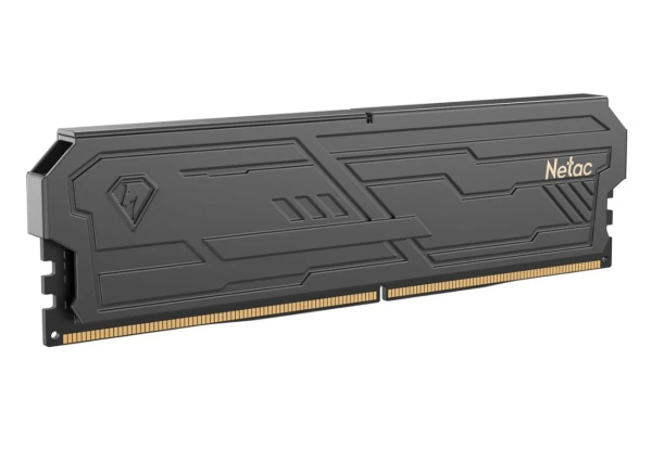 Модуль памяти DIMM DDR5 16Гб 6400МГц Netac Shadow III (NTSHD5P64SP-16K) CL32 (черный радиатор)