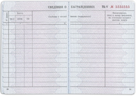 Бланк документа "Трудовая книжка" (121229)