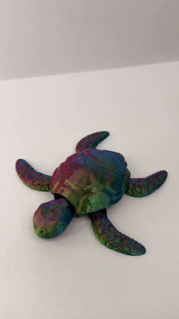 Черепаха радужная 6м