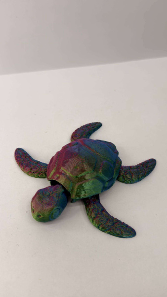 Черепаха радужная 6м