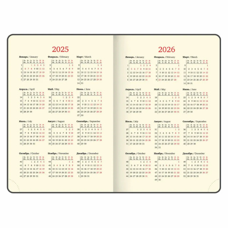 Ежедневник BRAUBERG A5 2026г. "Imperial" черный (117063)