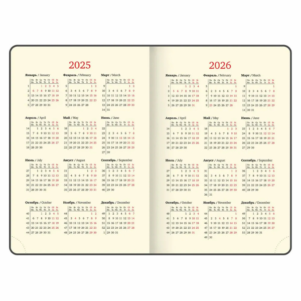 Ежедневник BRAUBERG A5 2026г. "Imperial" черный (117063)