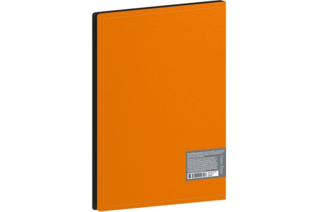 Папка с пружинным скоросшивателем BERLINGO "Color Zone", 17мм, 1000мкм, оранжевая (AHp_00116)
