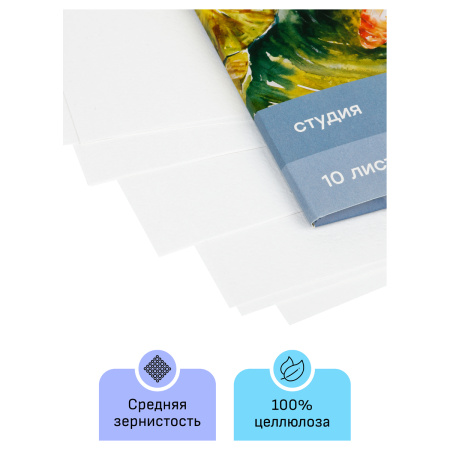 Папка для акварели А4 10л. Гамма "Студия", 200г/м2, среднее зерно (40C03F710W)