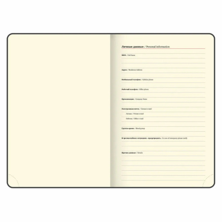 Ежедневник BRAUBERG A5 2026г. "Imperial" черный (117063)