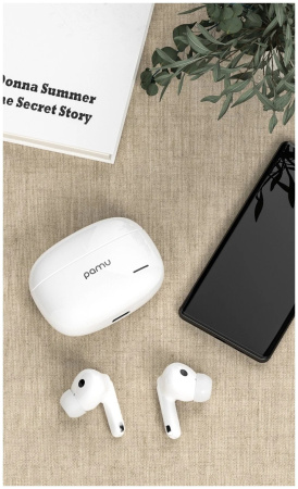 Гарнитура TWS Padmate PaMu S29, Bt5.2, шумоподавление, Белый