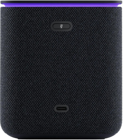 Умная колонка Яндекс Станция Миди с Zigbee 24Вт YNDX00054BLK Черный