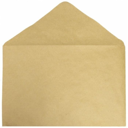 Конверт 290*390мм, крафт-бумага, без клеевого слоя, треуг. клапан (2939KT)