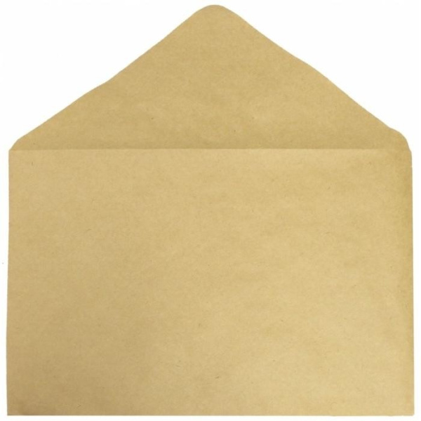 Конверт 290*390мм, крафт-бумага, без клеевого слоя, треуг. клапан (2939KT)