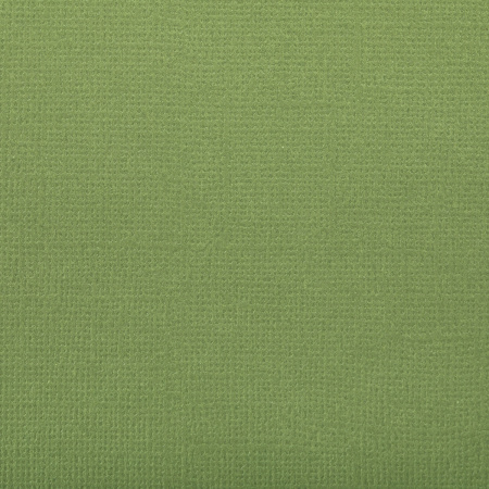 Бумага для скрапбукинга "Mr.Painter" PST 216 г/кв.м 30.5 x 30.5 см 10 шт. 57 Морская ламинария (темн. зеленый)