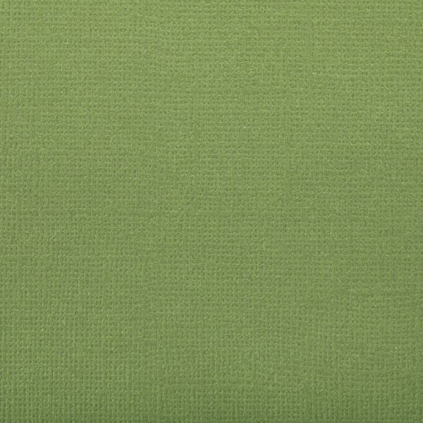 Бумага для скрапбукинга "Mr.Painter" PST 216 г/кв.м 30.5 x 30.5 см 10 шт. 57 Морская ламинария (темн. зеленый)