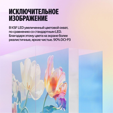 65" Телевизор LED Яндекс ТВ Станция Бейсик (YNDX-00077)