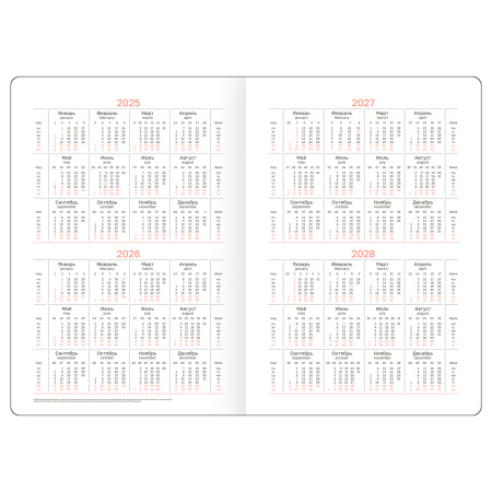 Ежедневник BG А5 176л. 2025г. "Nebraska. Brown", коричневвый DdA5_61005