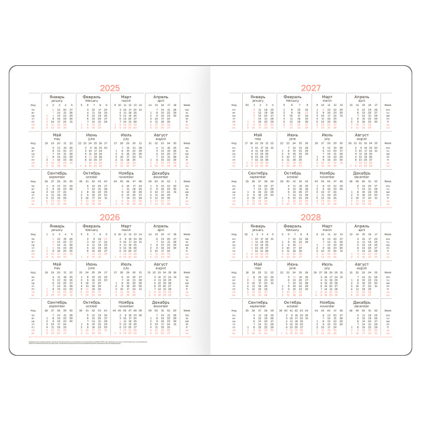 Ежедневник BG А6 176л. 2025г. "Nebraska. Blue", синий DdA6_61011