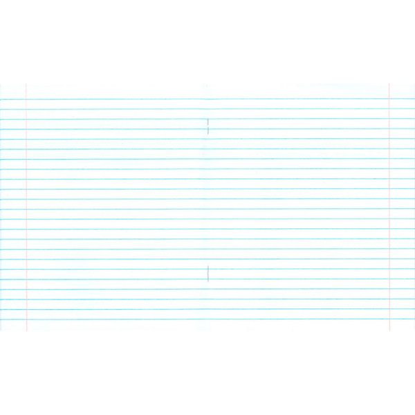 Тетрадь 24л. лин. Бумажная фабрика С 493/1