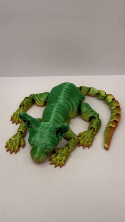 Кот сфинкс радужный 16м