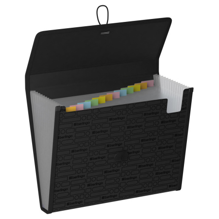 Папка на резинках BERLINGO 13 отделений "Your Way", А4, черный (XF4_13890)