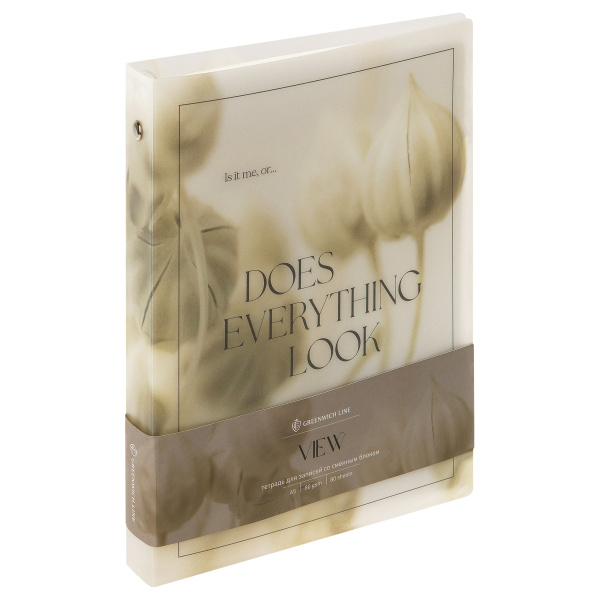 Тетрадь на кольцах 80л. "View" пласт. обложка Greenwich Line (Nrp80A5_38619)