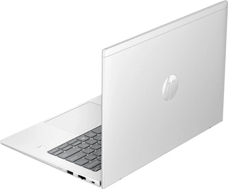 Ноутбук HP ProBook 4 G1a Wolf Pro Ryzen 7 250 16Gb SSD512Gb AMD Radeon Graphics 780M 14" WUXGA (1920x1200) Windows 11 Pro silver WiFi BT Cam (BM2B2UT)