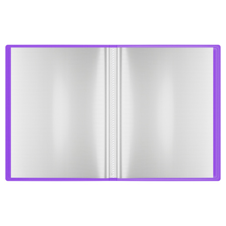 Папка с 10 вкл. BERLINGO "Envy", 17мм, 700мкм, фиолетовая, с внутр. карманом DB4_10881