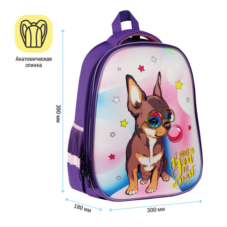 Ранец ArtSpace School Friend "Woof" 39*30*18см, 2 отделения, 2 кармана, анатомическая спинка Uni_177
