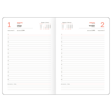 Ежедневник BG А5 176л. 2025г. "Nebraska. Brown", коричневвый DdA5_61005