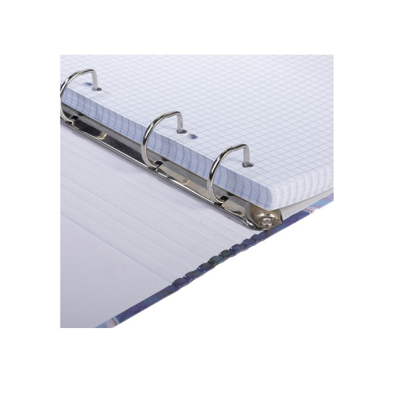 Тетрадь на кольцах 120л. "Цветочные сны" Hatber (120ТК5В1_32291)