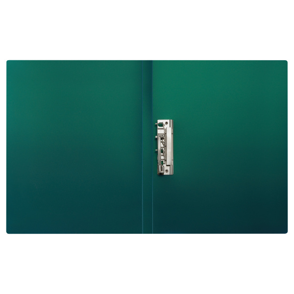 Папка с боковым прижимом СТАММ "Хамелеон" 17мм, 700мкм, зеленый (ММ-31867)