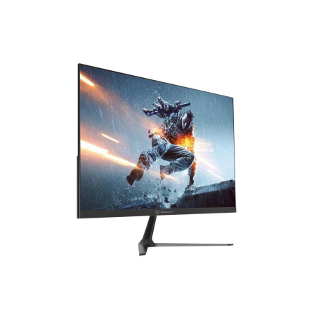 Монитор 23.8" Raskat I24F10DA (23.8", IPS, 1920*1080, VGA+HDMI+DP, 5ms, 178°/178°, 1000:1, 100Hz, Black)