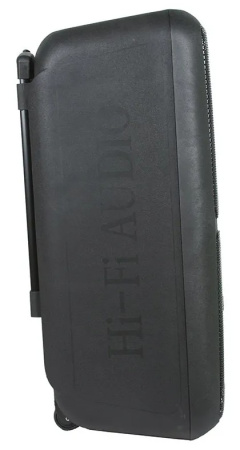 Портативная колонка ELTRONIC 20-14 DANCE BOX 300 динамик 10" 2шт. 120Вт, Bluetooth, TWS, FM, USB,  m