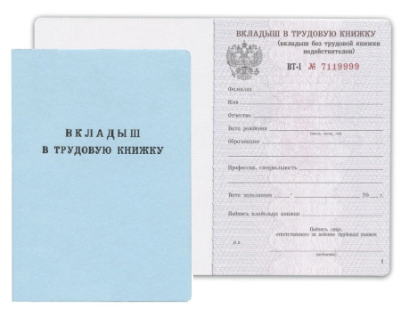 Бланк документа "Вкладыш в трудовую книжку" (120187) Бланк документа "Вкладыш в трудовую книжку" (120187)