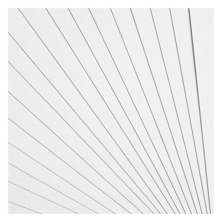 Картон белый А4 Мульти-Пульти "Приключения Енота" мелованный 20л. (КБ20_31564)