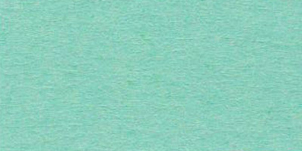 Бумага цветная "VISTA-ARTISTA" TKO-A2 300 г/м2 А2 42.5 х 60 см 1 шт. 25 мятный (mint)