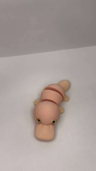 Утконос матовый 7м