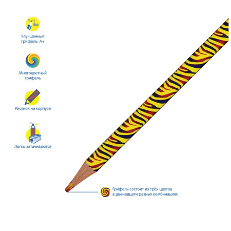 Карандаш Мульти-Пульти "Енот и радуга" с многоцветным грифелем, 12 цв., CP_33719