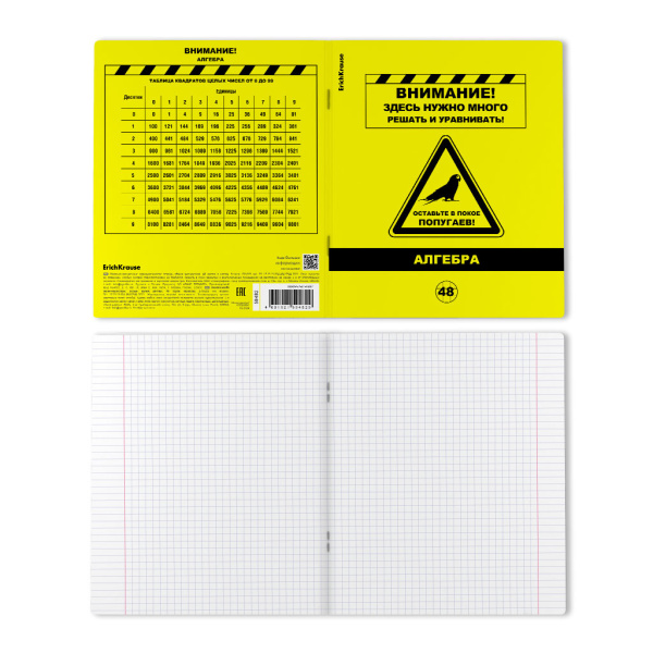 Тетрадь предметная 48л. "Be Informed, Алгебра" ErichKrause 59482