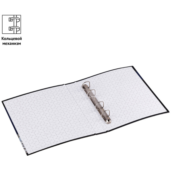 Альбом для монет OfficeSpace "Optima.Коллекционеръ"  230*270, на кольцах, без листов (АМ_31856)