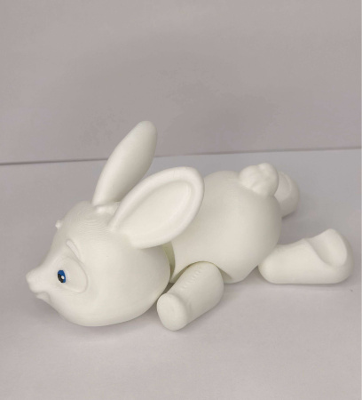 Заяц белый 21м