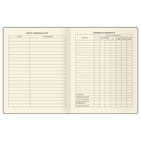 Дневник 1-11кл. BG "Таинственная девочка" D5h48_58571