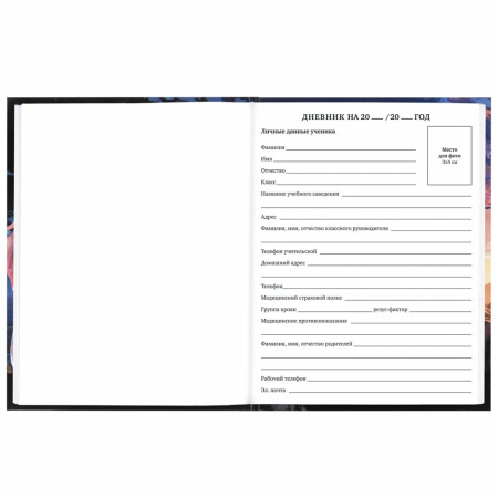 Дневник 1-11кл. BRAUBERG "Anime girl" (106844)