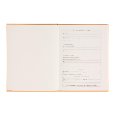 Дневник 1-11кл. "Стакан кофе" Д40-3869